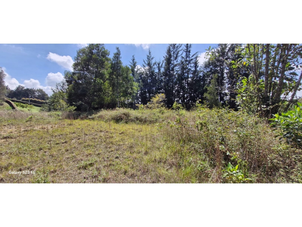 Lote en parcelación para Venta en Rionegro - Rural — foto 2
