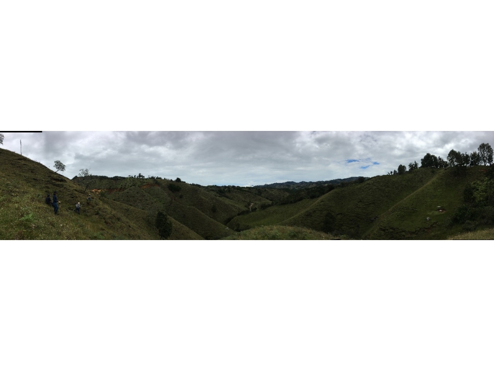 Finca de trabajo para venta en Abejorral - 3