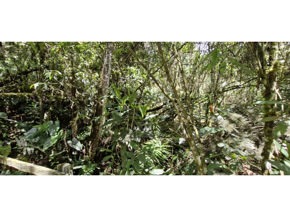 Lote en parcelación para Venta en El Retiro - Rural — foto 3