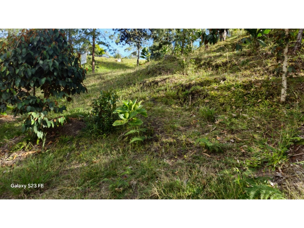 Lote en parcelación para venta en el retiro