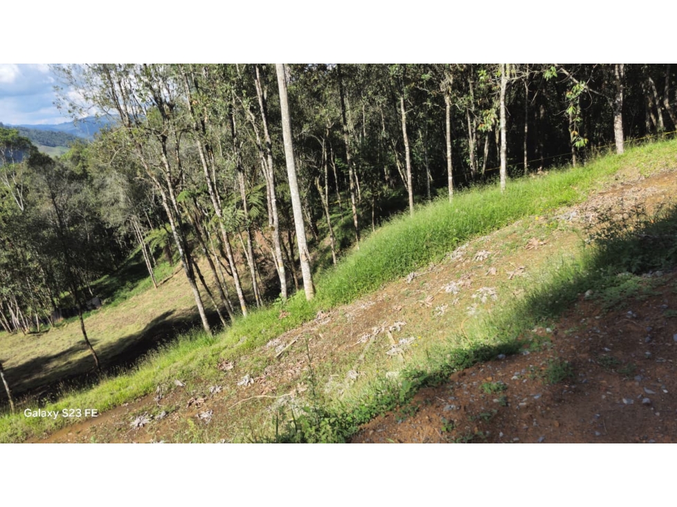 Lote en parcelación para venta en el retiro
