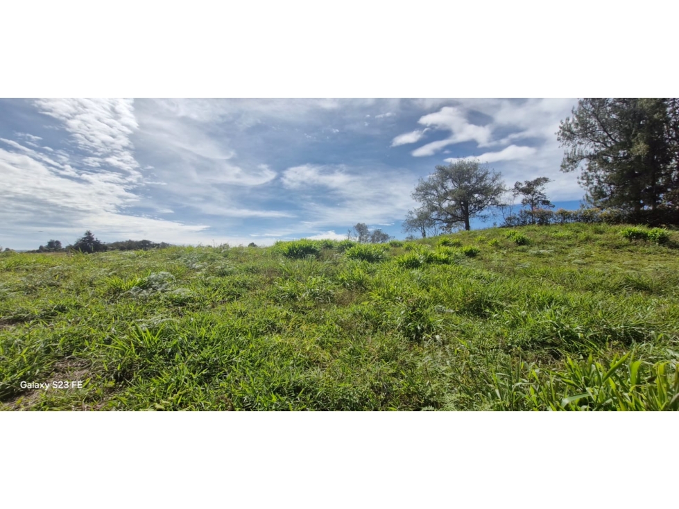 Lote en parcelación para venta en El Carmen de Viboral — foto 2