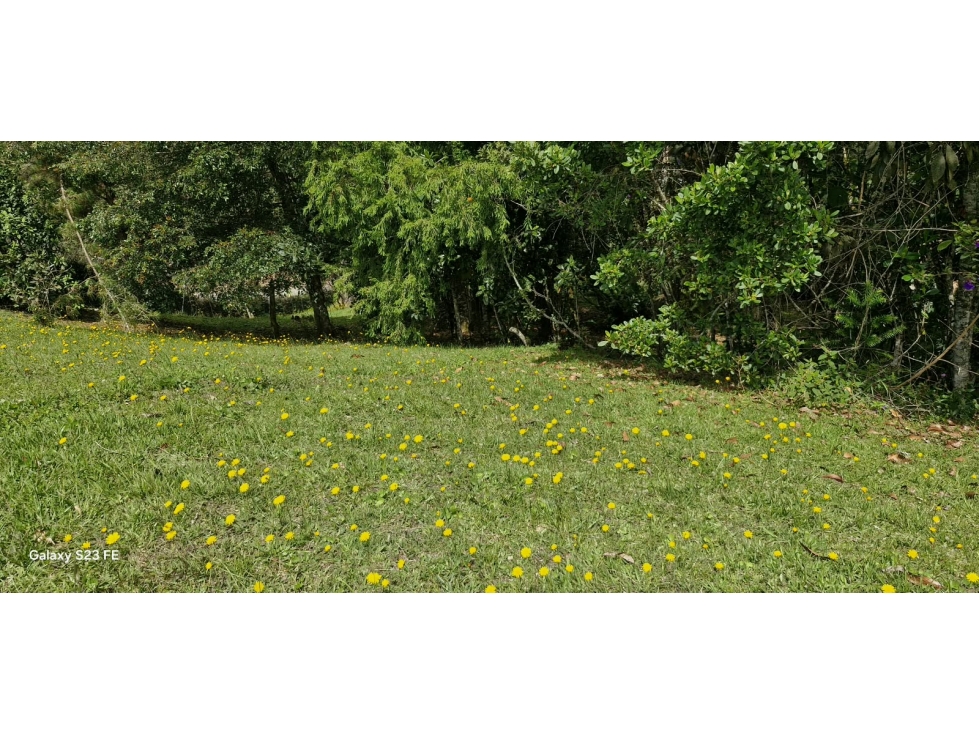 Lote Independiente para venta en Rionegro
