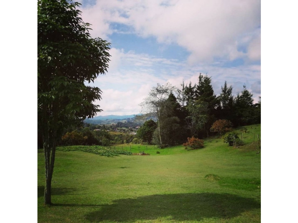Finca en Venta en Envigado - Vereda Pantanillo — foto 5