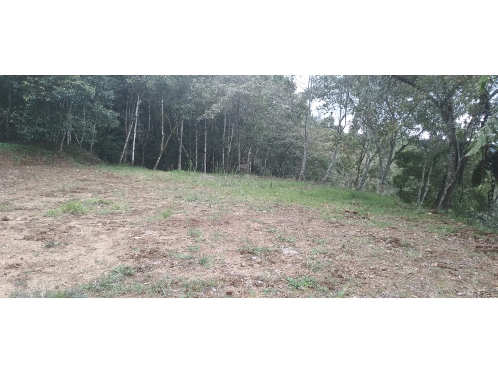 Lote Independiente para venta en La Ceja - Rural