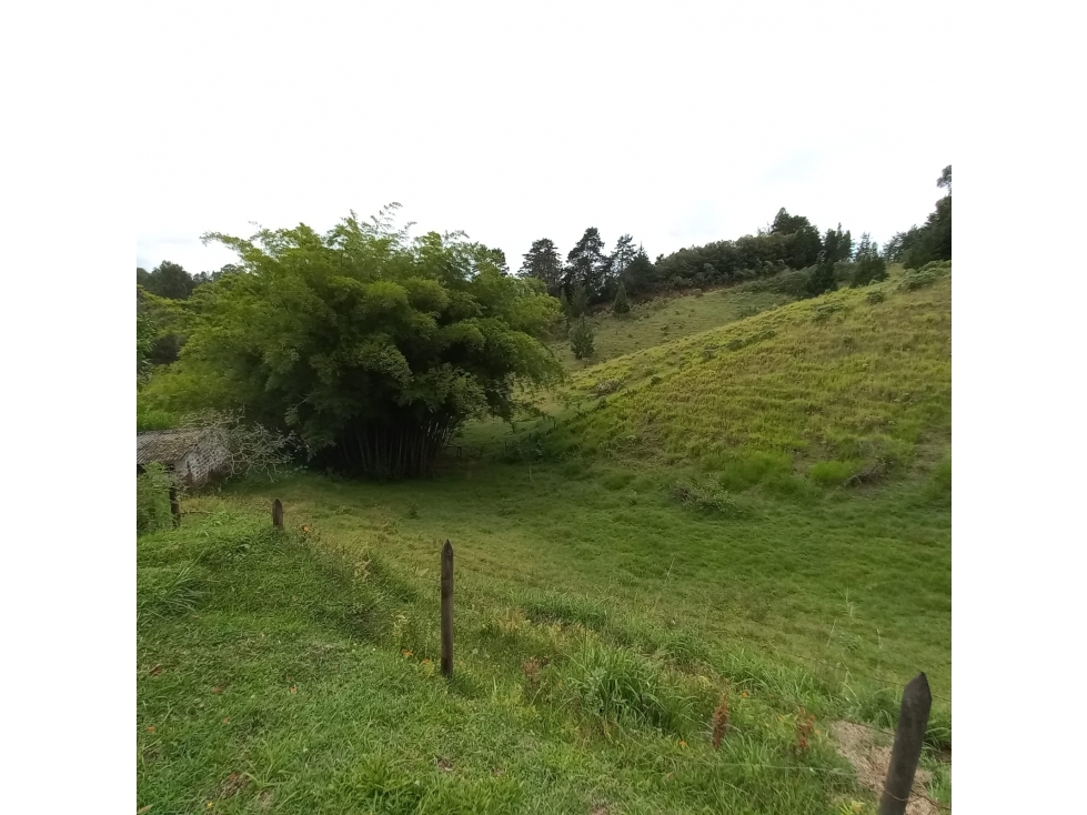 Finca en Venta en Rionegro - Rural — foto 3