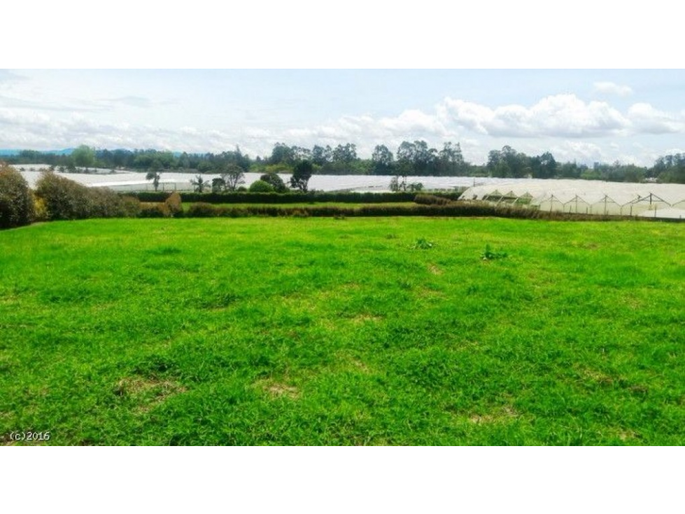 Lote en Parcelación para Venta en Rionegro - Vilachuaga