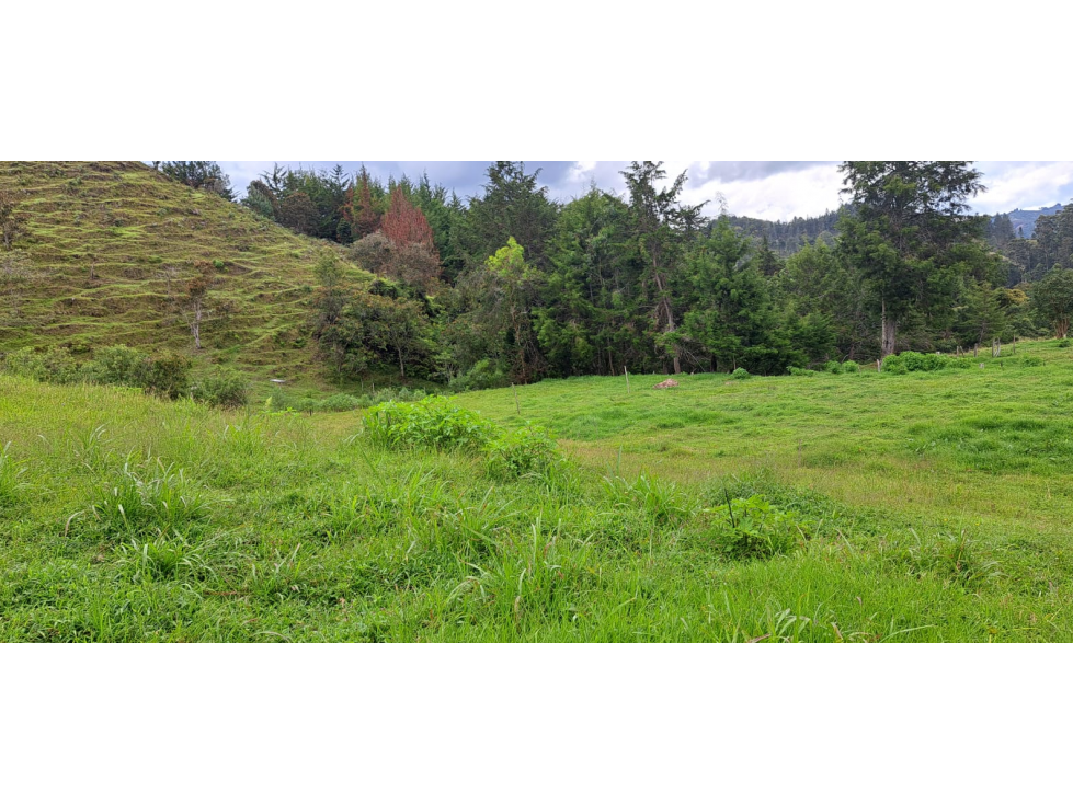 Lote en Venta en El Retiro - Rural — foto 2