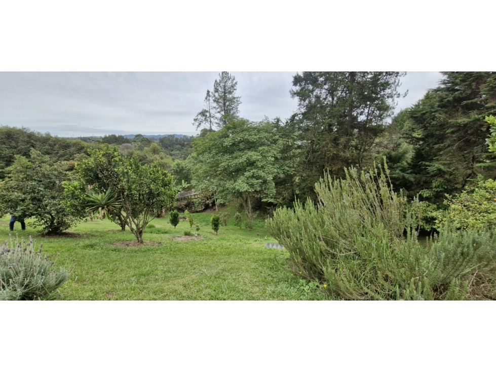 Finca para venta en Rionegro - Sector Las Cuchillas - 5