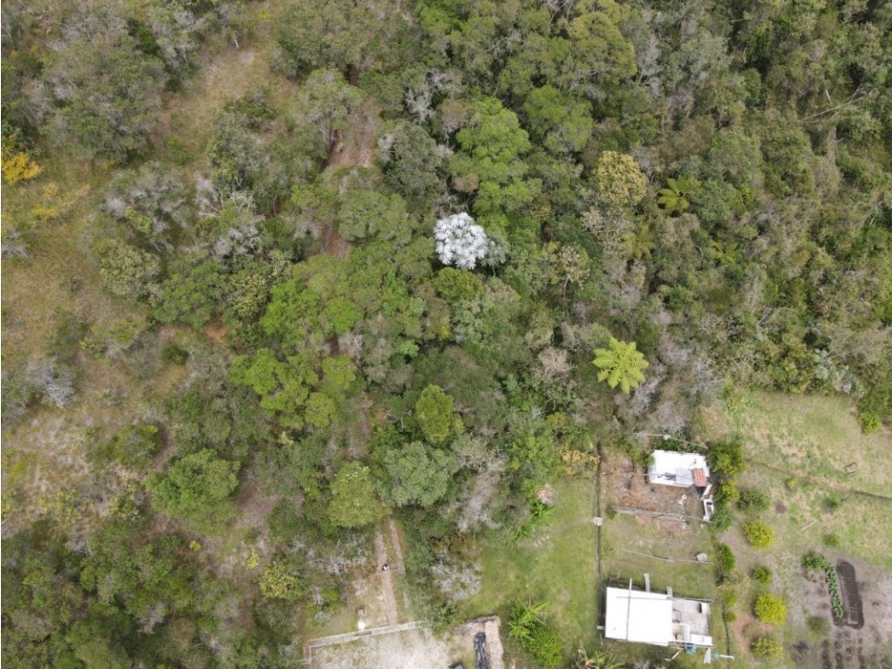 Lote en Venta en Guarne - Hojas Anchas - 2