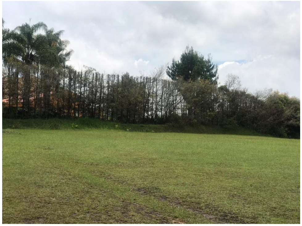Lote en parcelación para Venta en Llanogrande