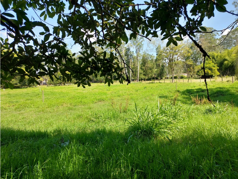 Lote en parcelación para Venta en Rionegro - Rural — foto 6