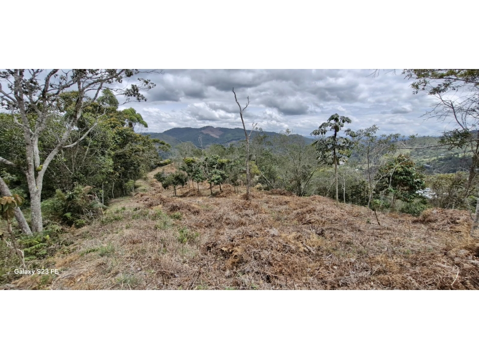 Lote en parcelación para Venta en El Retiro - Rural — foto 5