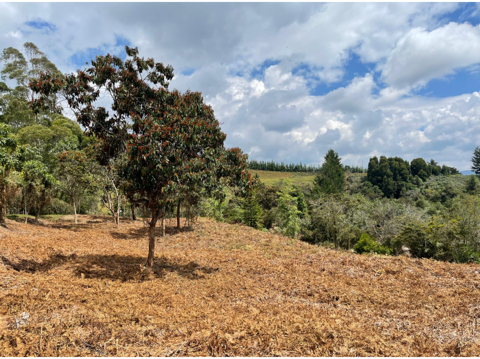 Lote en parcelación para Venta en Rionegro - Rural — foto 4