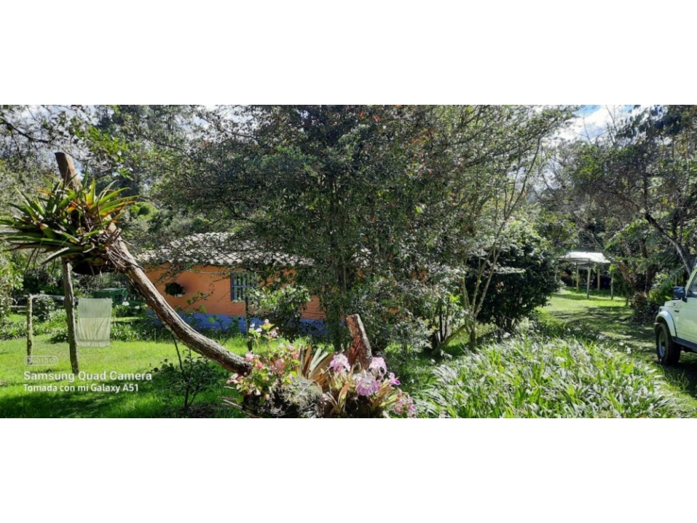 Finca en Venta en Envigado - Vereda Pantanillo — foto 2