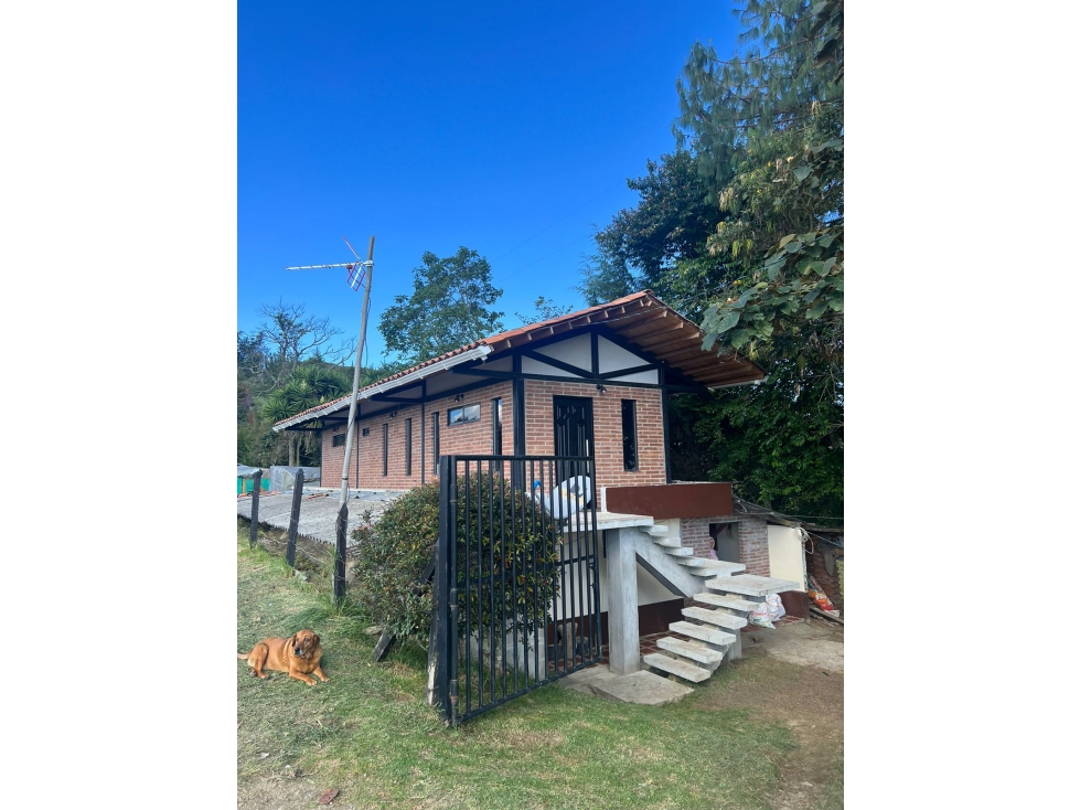 Finca en Venta en Abejorral - Rural - 4