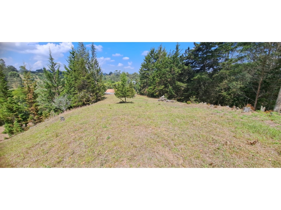 Lote Independiente para venta en Rionegro - Rural