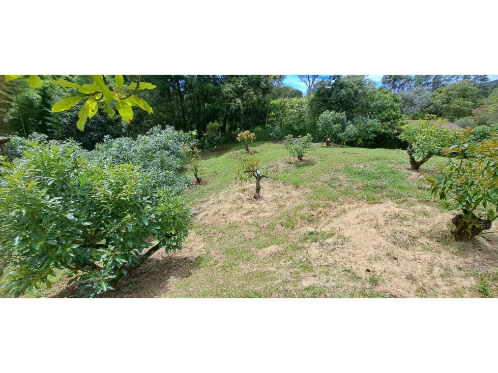 Finca en Venta en Rionegro - Rural — foto 6
