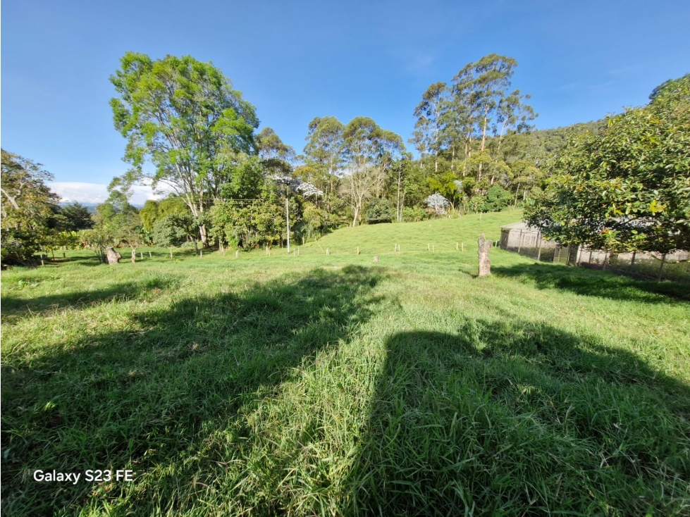 Lote para venta en Rionegro - Guayabito