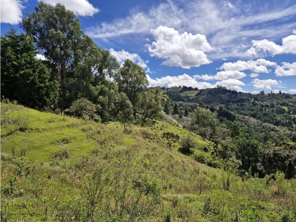 Lote para desarrollo en venta en Rionegro - Sector La Quiebra — foto 2