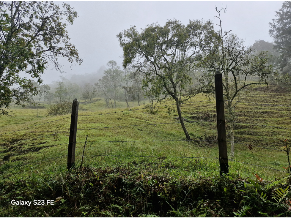 Lote en Venta en Rionegro - Rural