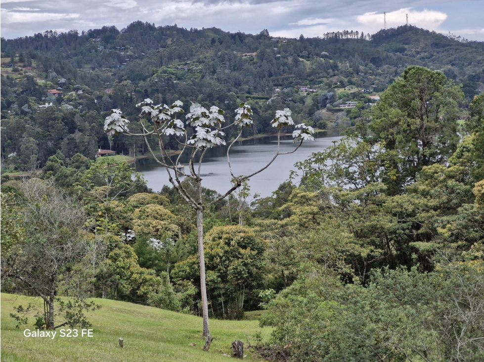 Lote en El Retiro para venta - Fizebad