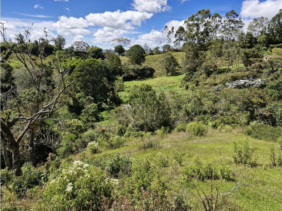 Lote para desarrollo en venta en Rionegro - Sector La Quiebra — foto 3