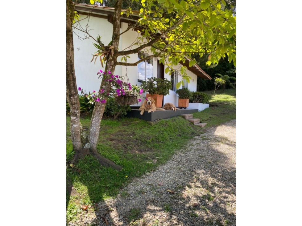 Finca en Venta en Guarne - Rural — foto 4