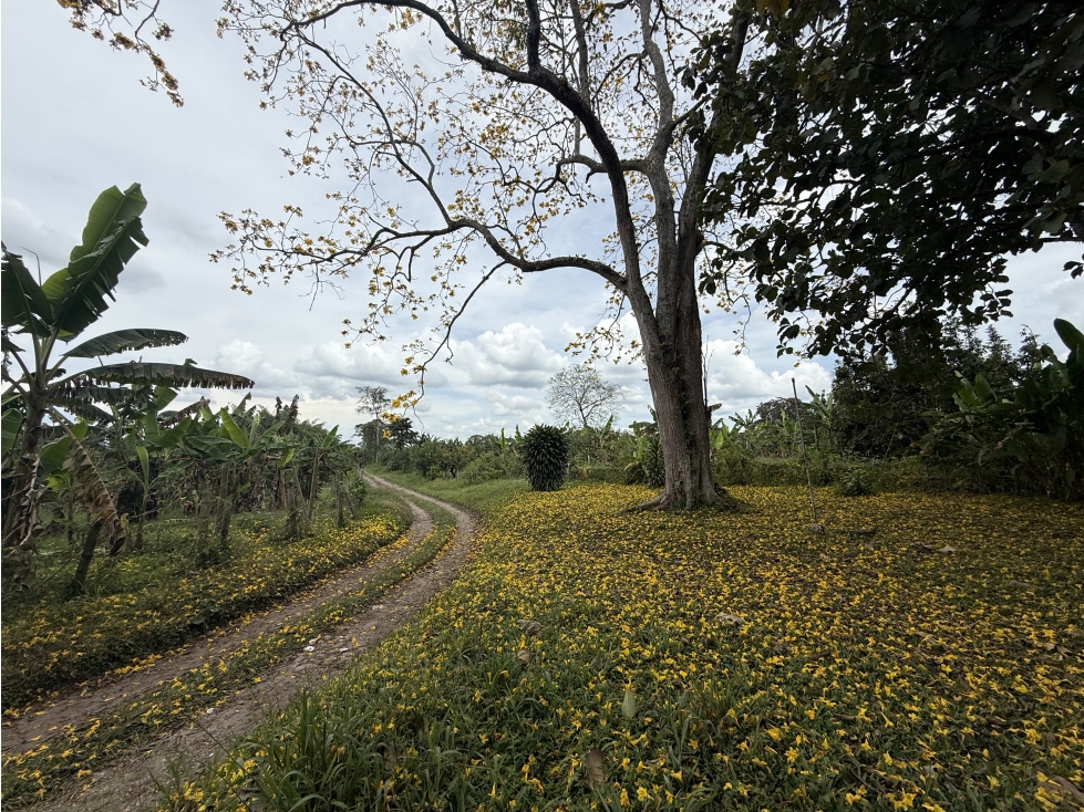 Se Vende Lote Rural Cerca Al Club Campestre De Armenia — foto 5