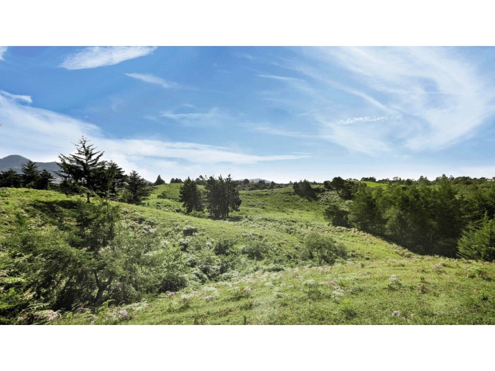 Lote en parcelación para venta en El Carmen de Viboral - Rural — foto 2