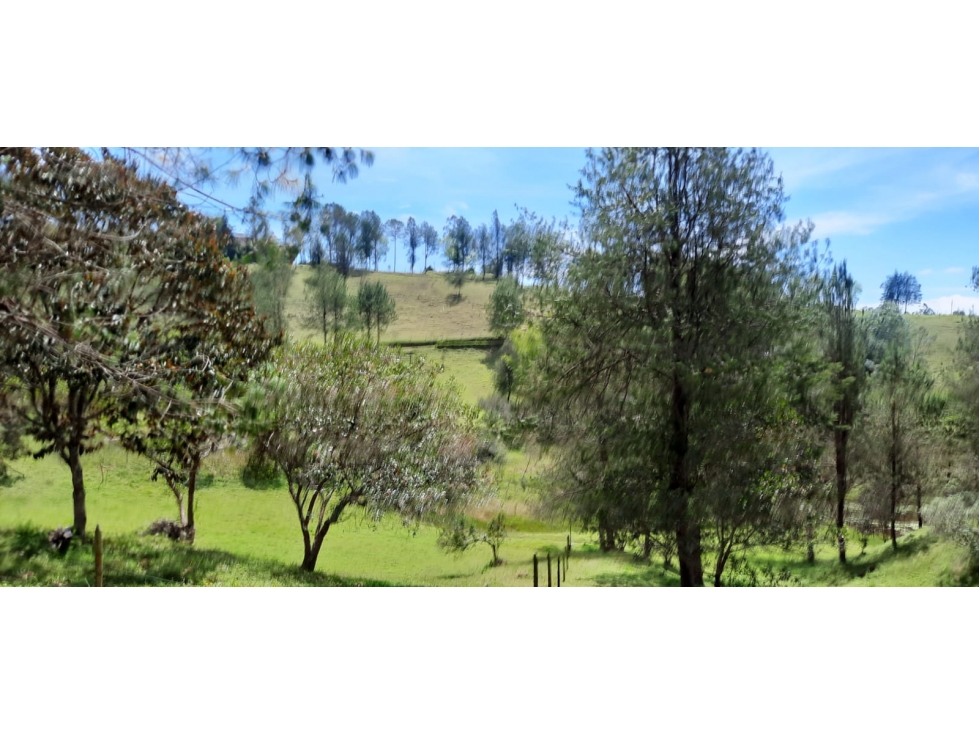 Finca en Venta en Rionegro - Santa Barbara — foto 4