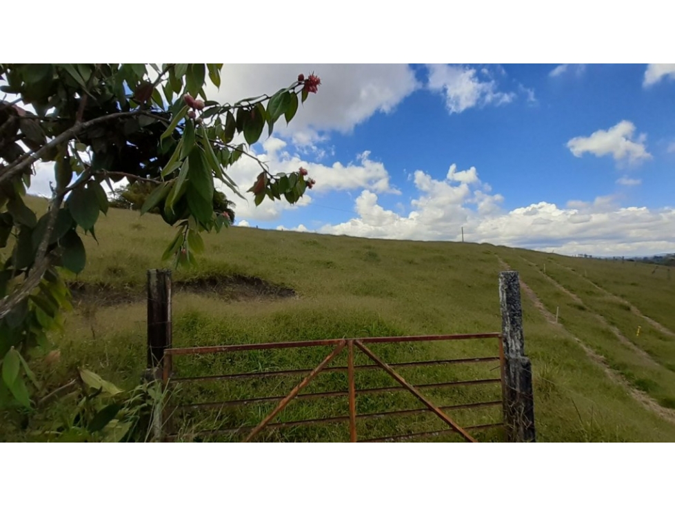Lote en Venta en El Carmen de Viboral - Vía San Antonio - La Ceja — foto 4
