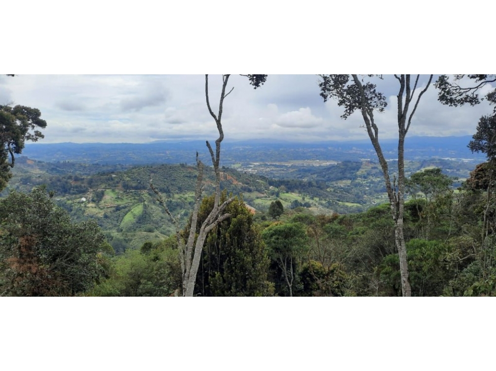 Lote en parcelación para Venta en Rionegro - Rural — foto 6