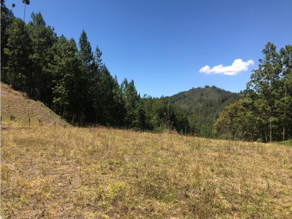 Lote en parcelación para Venta en El Retiro - Rural — foto 4