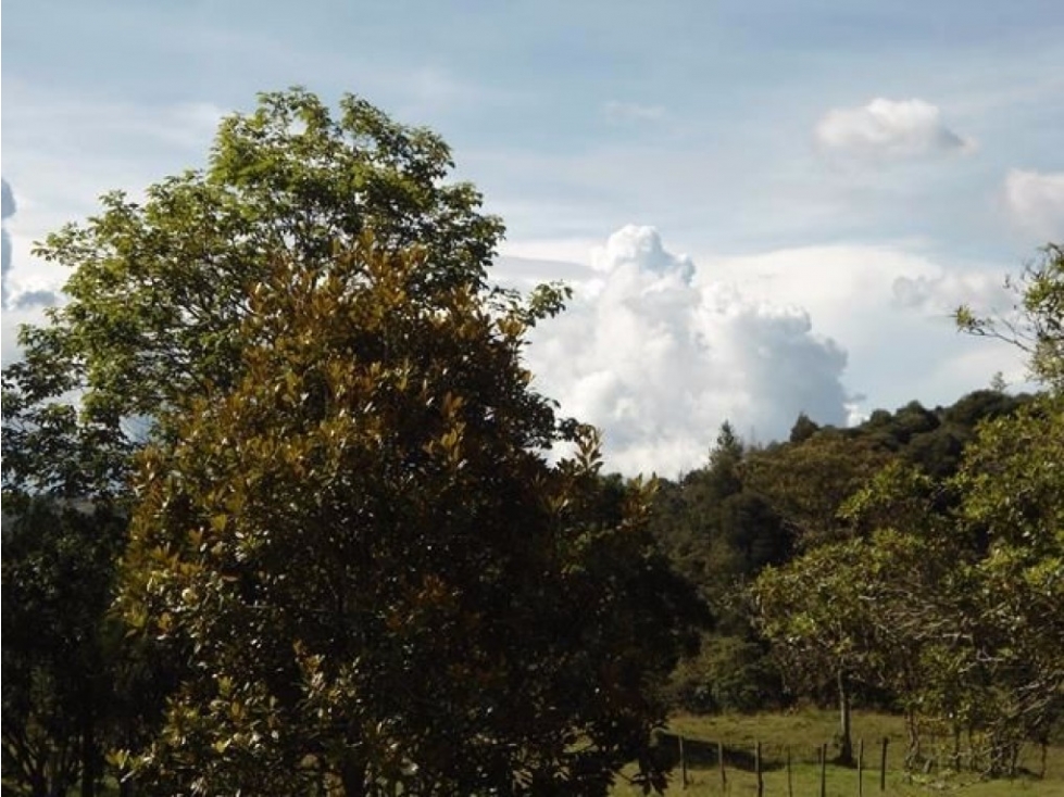 Lote en Venta en Guarne - Vereda La Quiebra — foto 2