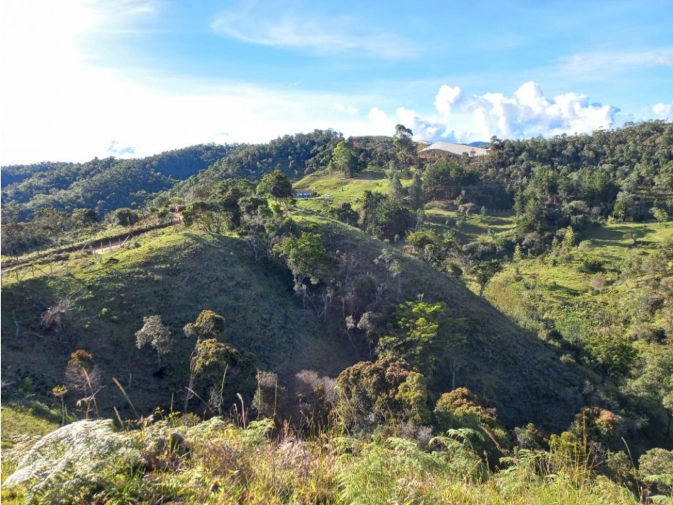 Lote en Venta en San Vicente - Vereda El Calvario — foto 3