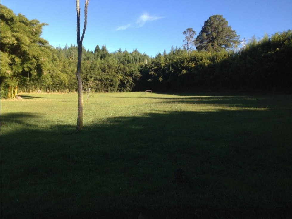 Lote industrial para Venta en Guarne - Rural — foto 5