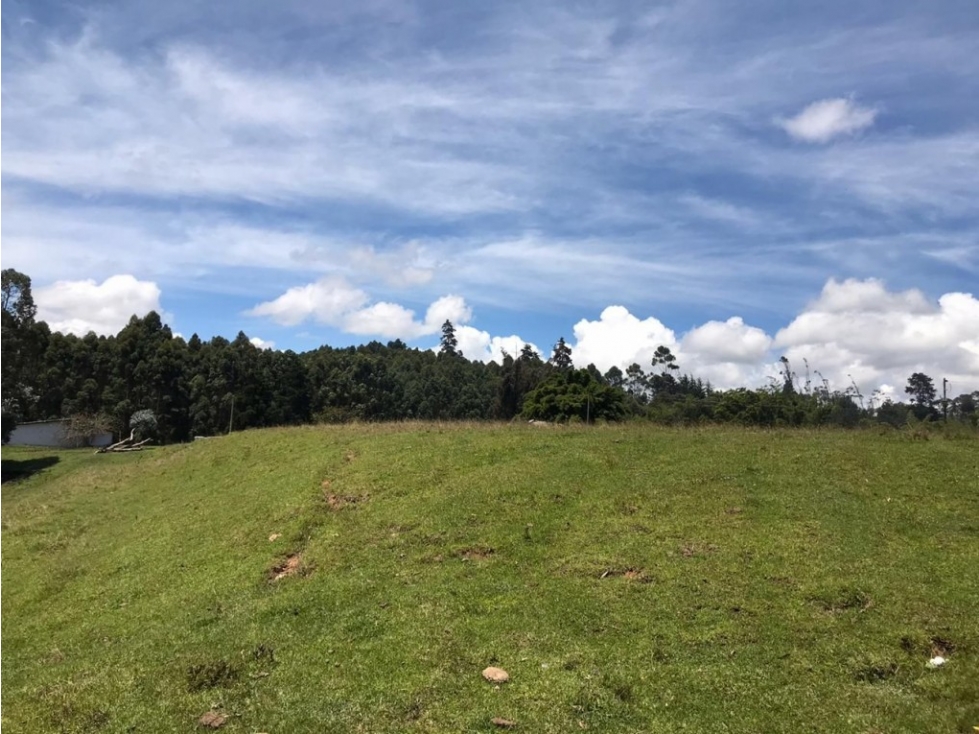 Lote industrial para Venta en Marinilla - El Tranvía — foto 3
