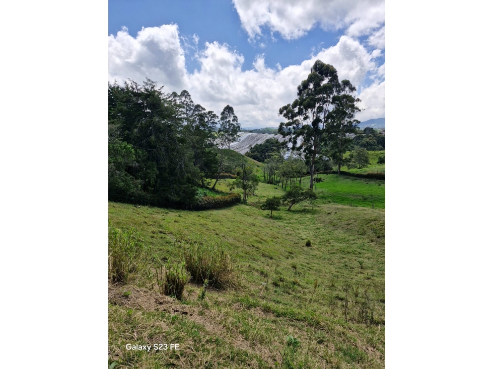 Lote independiente para venta en El Carmen de Viboral - Rural — foto 2