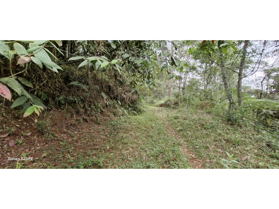 Lote para venta en Rionegro - La Convención — foto 3