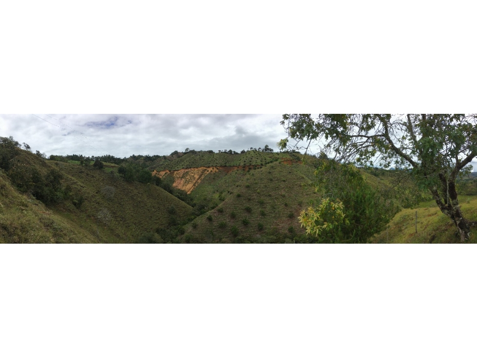 Finca de trabajo para venta en Abejorral - 4