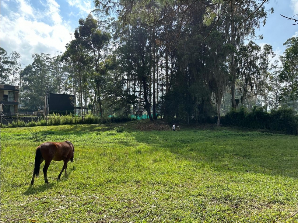 Lote Independiente para venta en Rionegro - Rural — foto 2