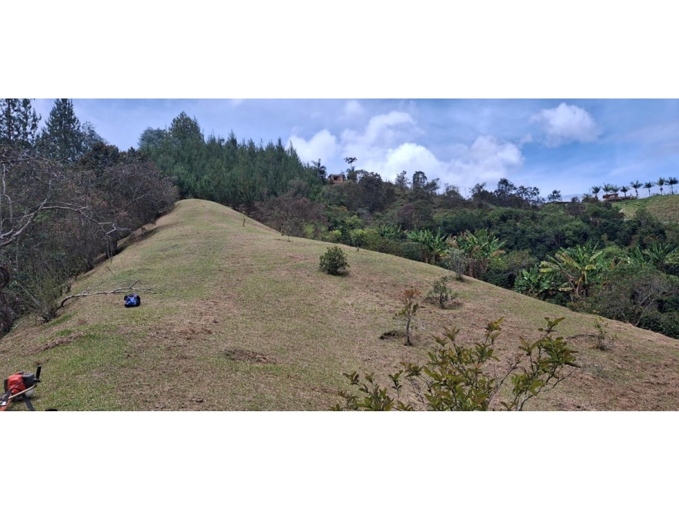 LOTE INDEPENDIENTE PARA VENTA EN SAN VICENTE FERRER