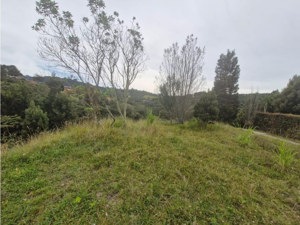 Lote Para Venta En Envigado - Alto De Las Palmas - 2