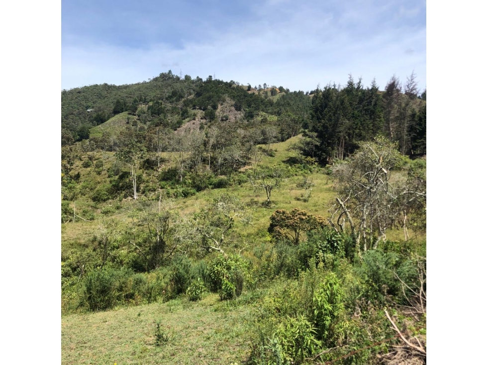 Lote en Venta en Rionegro - Rural (Bajo de precio) — foto 4