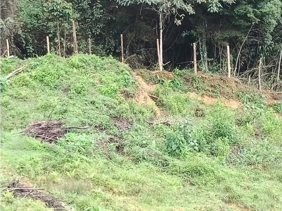 Lote en Venta en Rionegro - Rural (Bajo de precio) — foto 3