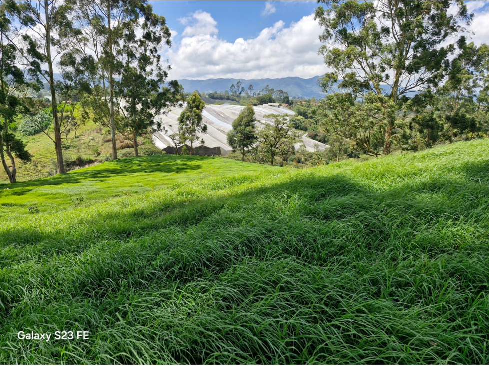 Lote independiente para venta en El Carmen de Viboral - Rural