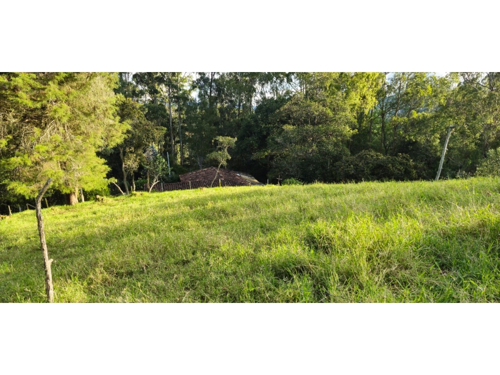 Lote Independiente para venta en Cabeceras