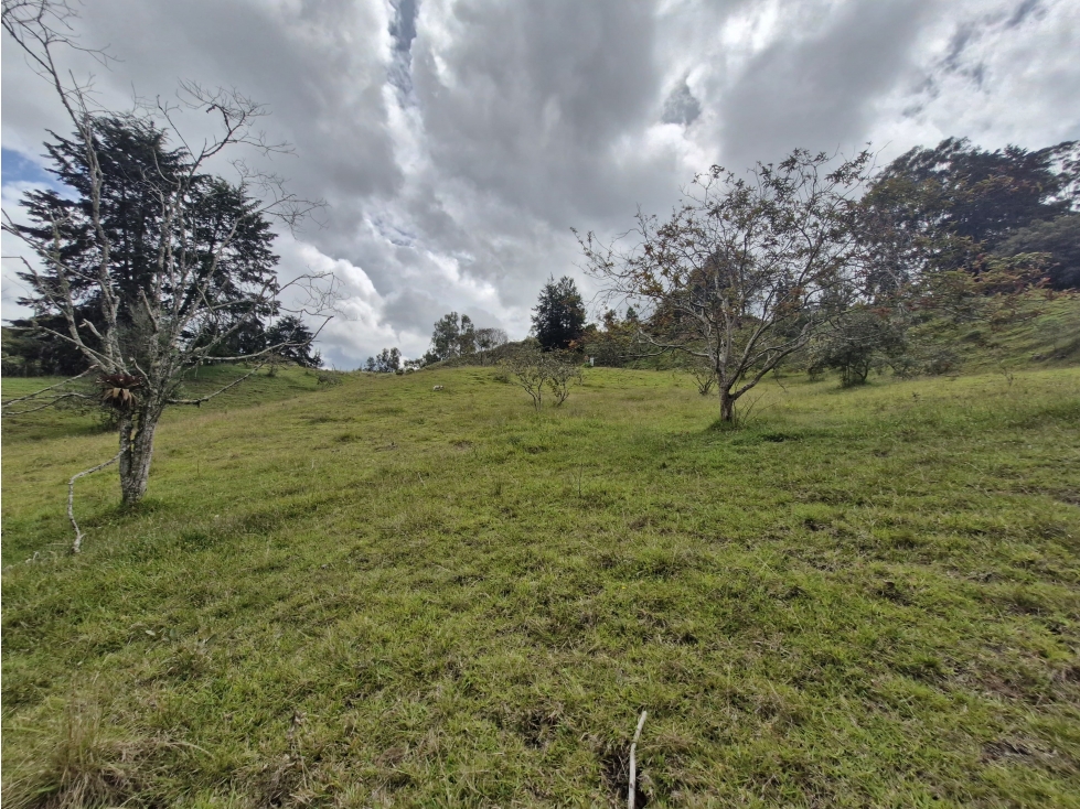 Lote Independiente para venta en Rionegro - El Tablazo — foto 2