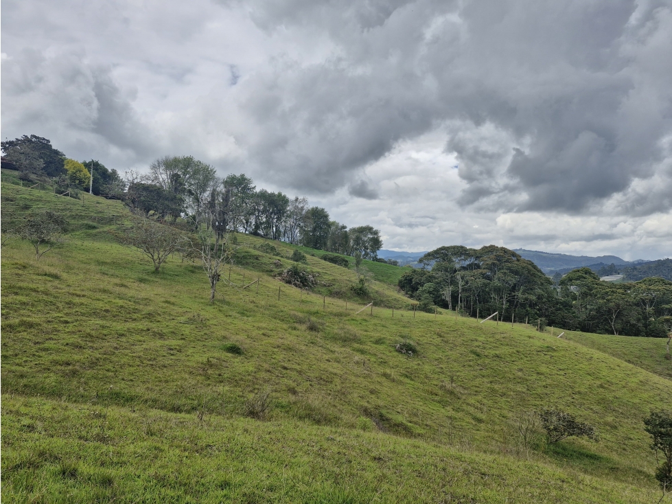 Lote Independiente para venta en Rionegro - El Tablazo — foto 4